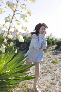 惜花芷电视剧